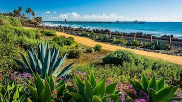 Vlak bij het strand
