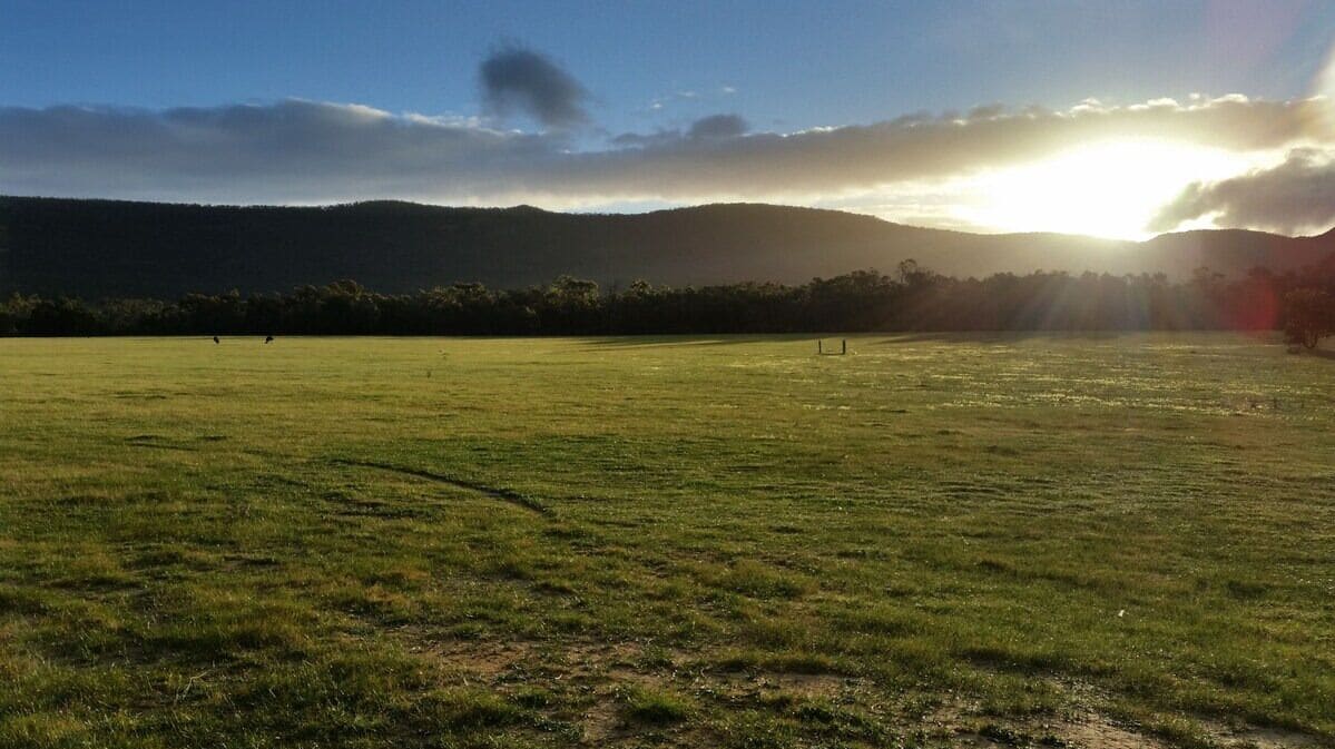 Cabin, Mountain View | View from room