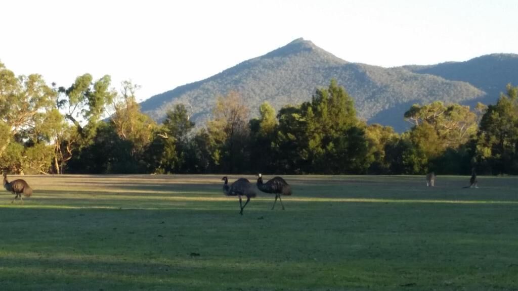 Land view from property