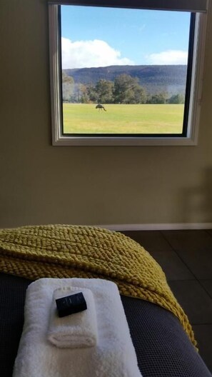 Cabana, vistes a la muntanya | Interior