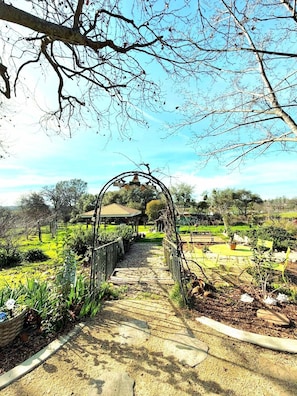 Property grounds - Hot Tub, Modern Farmhouse, Avian activity & Lake View Retreat in Shingle Springs (Shingle Springs)