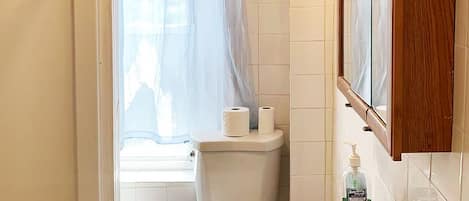 Hair dryer, towels, soap, shampoo