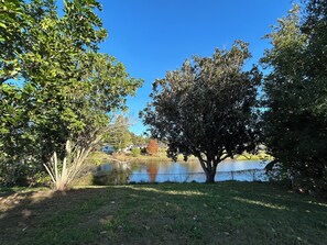 Property grounds - Furnished house in Dunedin. Canal view. Close to Downtown, Beaches & Stadiums  (Dunedin)