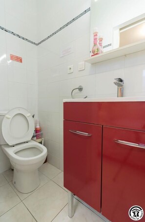 A bathroom with a white toilet, red cabinets, and a mirror above the sink. - Venitia T2 House - AUSSONNE (AUSSONNE)