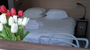 1 bedroom, desk, iron/ironing board, free WiFi - IDEAL FOR YOUR SPA TREATMENT IN SANTENAY (Chagny)