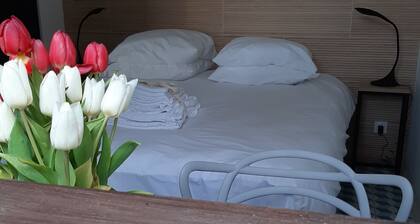 IDĂAL POUR VOTRE CURE THERMALE A SANTENAY