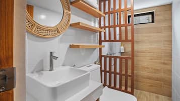Shower, hair dryer, bidet, towels