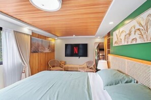 Iron/ironing board, WiFi, bed sheets