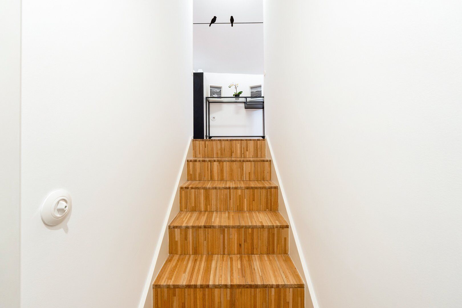 Estudio (Superior Studio)