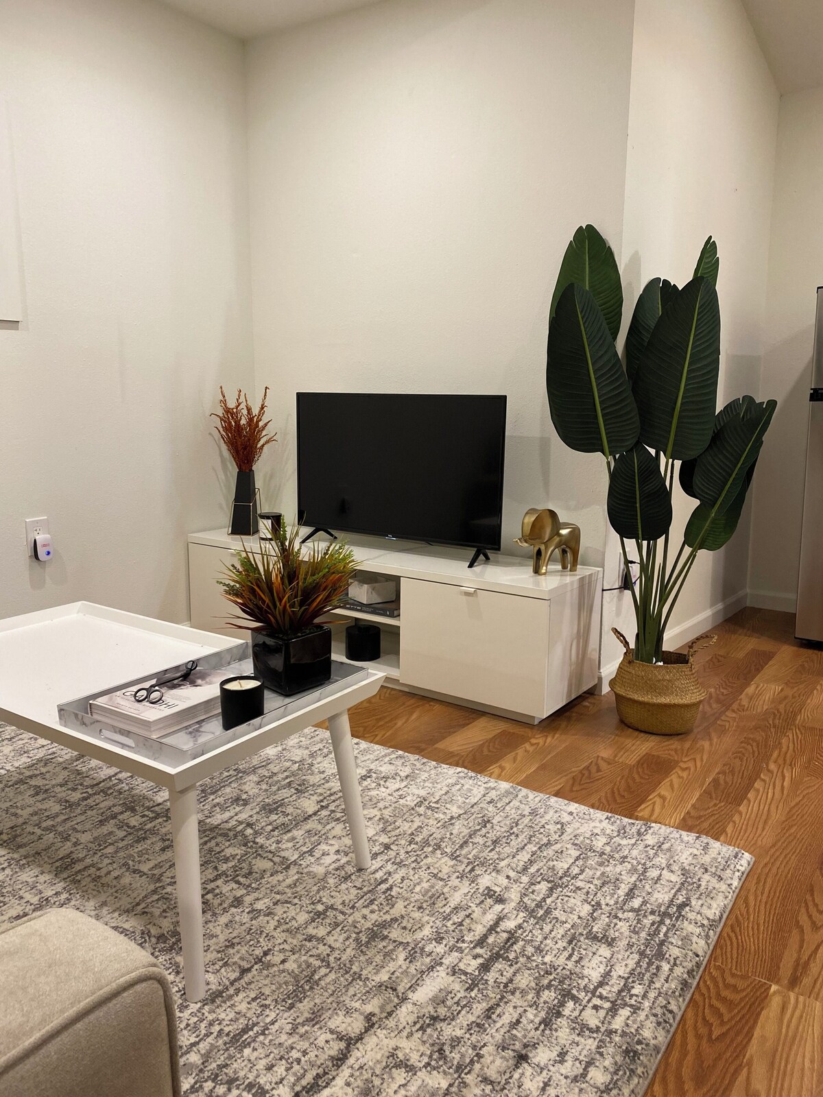 Imagen de perfil del propietario o de la propietaria