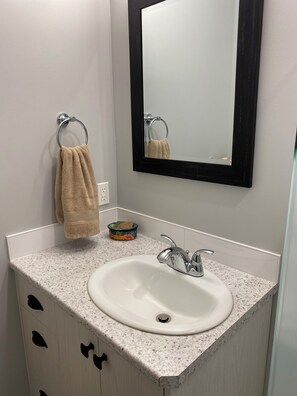 Shower, towels, soap, toilet paper - The Tree House - Luxury Carriage House at Shawnigan Lake (Shawnigan Lake)