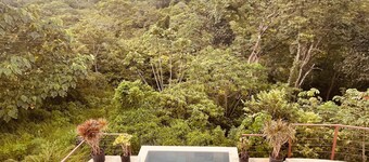 Jungle Paradise with pool overlooking ocean views