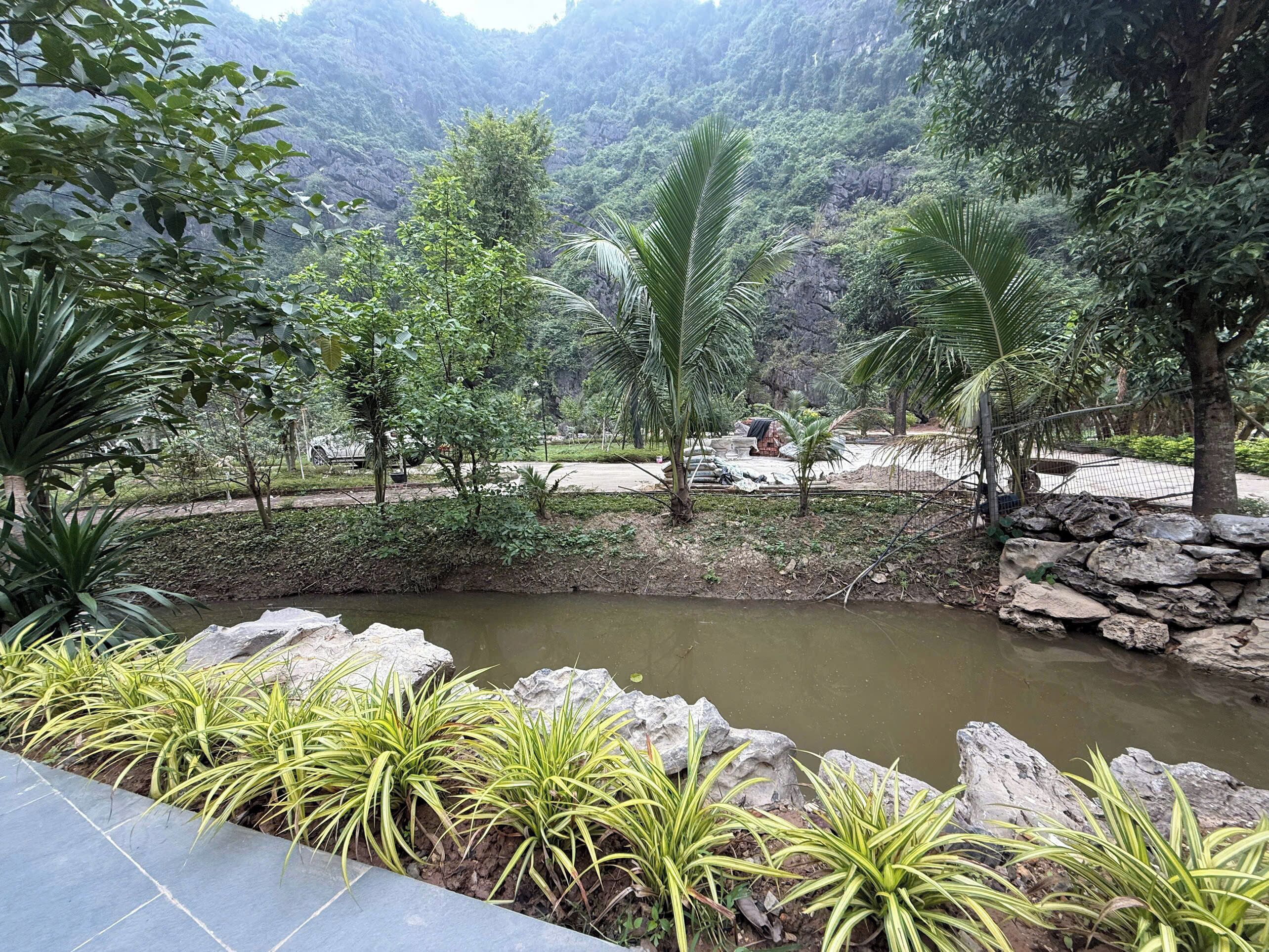 A landscaped garden with a pond, surrounded by rocks and various plants.