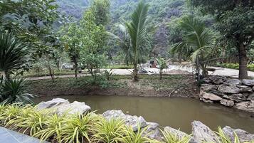 A landscaped garden with a pond, surrounded by rocks and various plants.