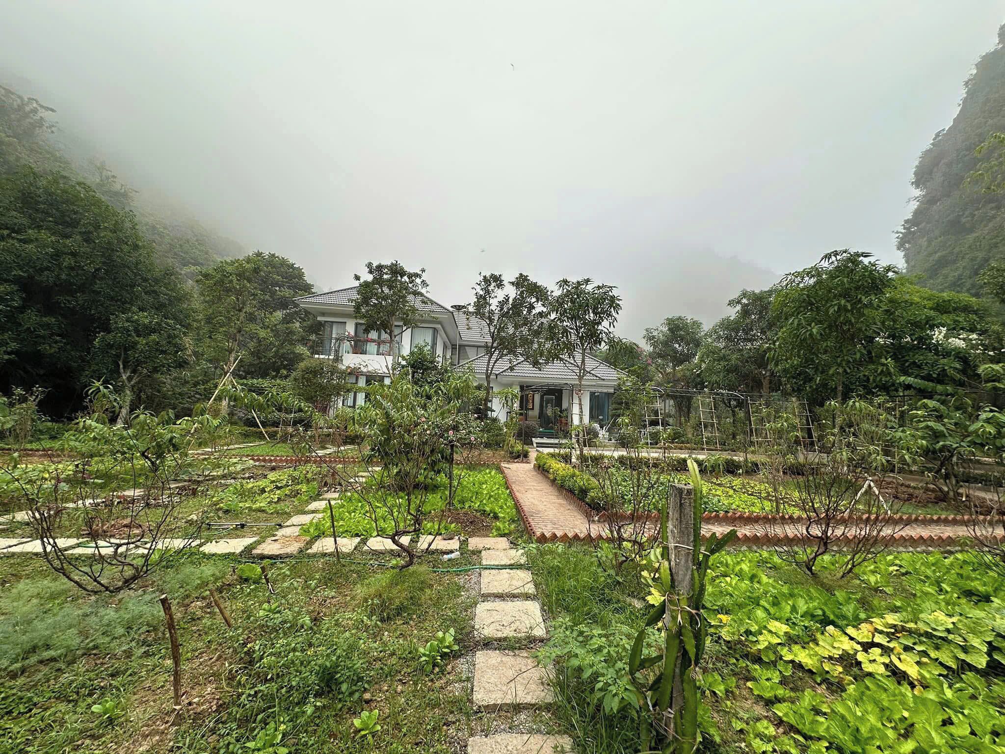 A house surrounded by lush greenery and a garden with a stone pathway leading to the entrance.