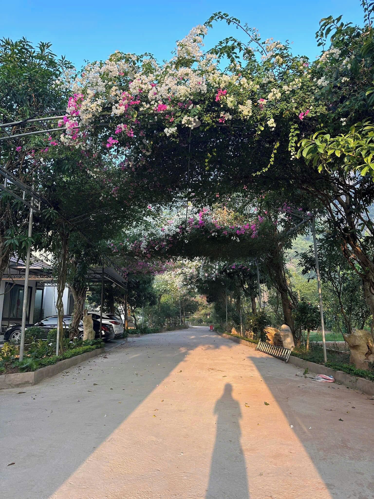 A paved road lined with trees and flowering plants, leading to a building with a covered entrance.