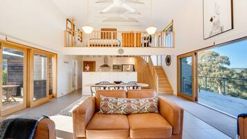 TV connectée, cheminée, lecteur de DVD, livres