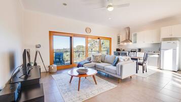 Smart TV, fireplace, DVD player, books