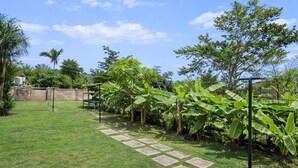 A well-maintained grassy area with a stone pathway leading to a bench, surrounded by lush greenery and trees. - RHE Drax Hall Ocho Rios Gated/Pool/Gym (Saint Ann's Bay)