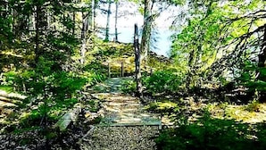 Une zone boisée avec un sentier de gravier qui traverse une végétation luxuriante.