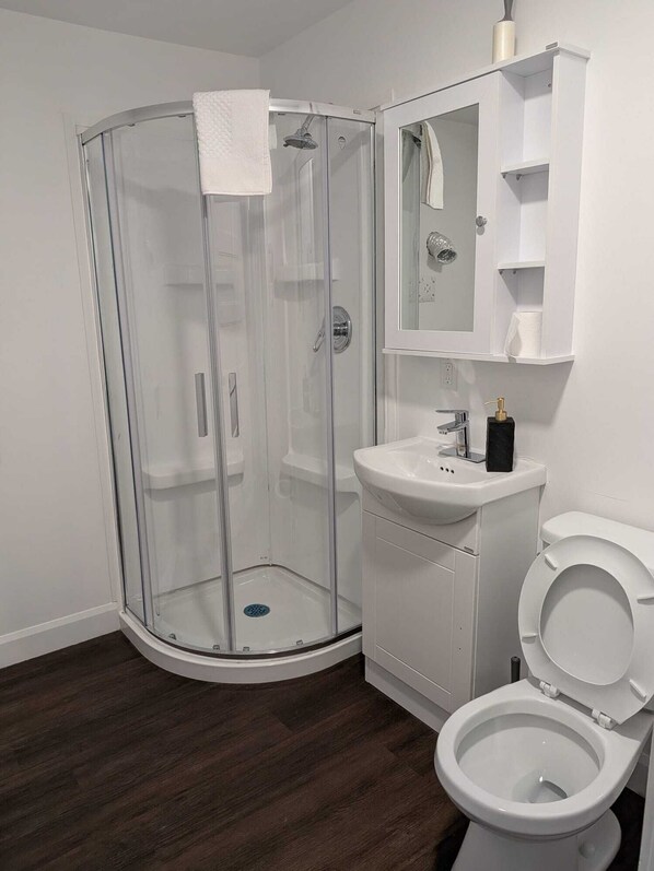 Shower, hair dryer, bidet, towels