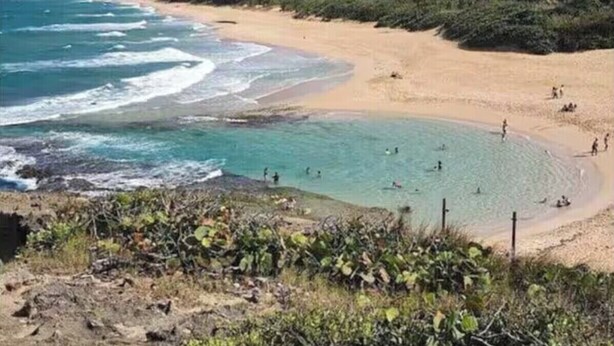 Ein Strand mit klarem türkisblauem Wasser, einem Sandstrand und dichter Vegetation im Hintergrund.