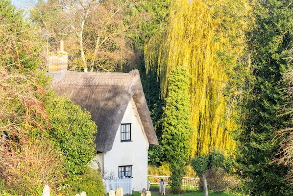 Property grounds - The Thatched Lodge, Fressingfield, Suffolk (Fressingfield)