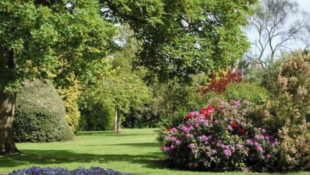 Terrein van de accommodatie