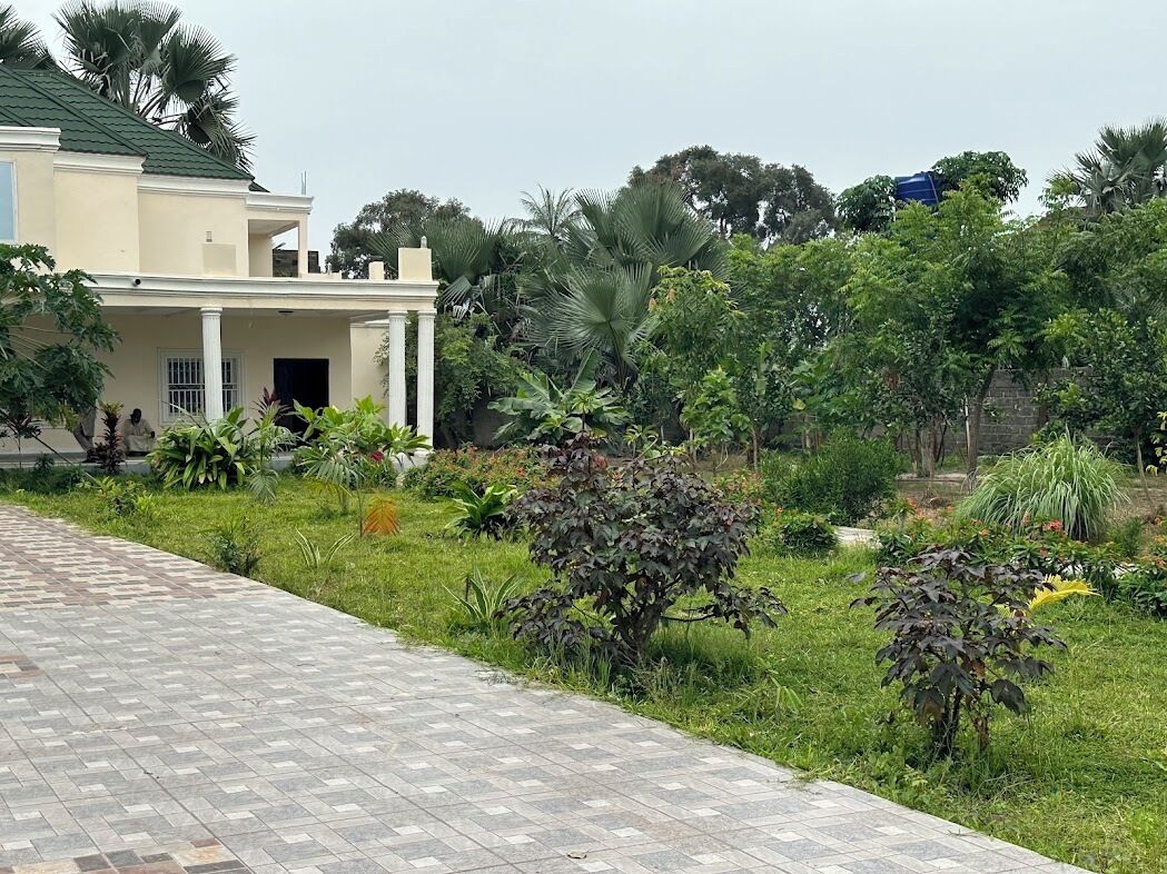 Una casa con un vialetto lastricato che conduce a un portico coperto, circondata da vegetazione rigogliosa e palme.