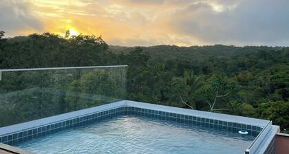 House by the sea, with views of the sea and forest in Ilhéus pool