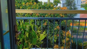 A balcony with a potted plant, a railing, and a view of a residential area with houses and a palm tree. - golden leaf apartment (Kigali)