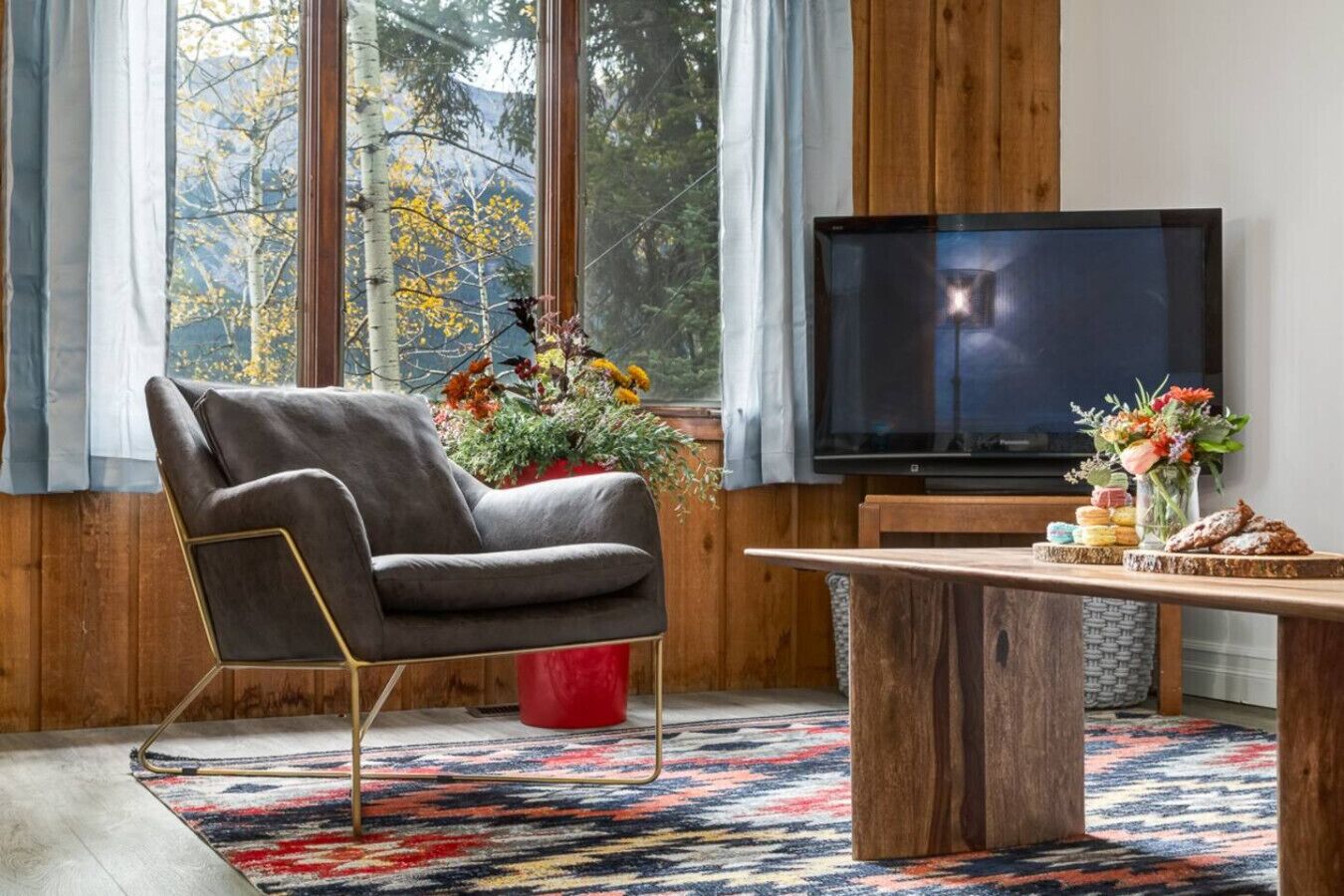 TV