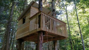 Exterior - Delightful 3-bedroom cabin near Hunter and Windham for skiing and hiking (Jewett)
