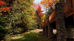 Property grounds - Delightful 3-bedroom cabin near Hunter and Windham for skiing and hiking (Jewett)