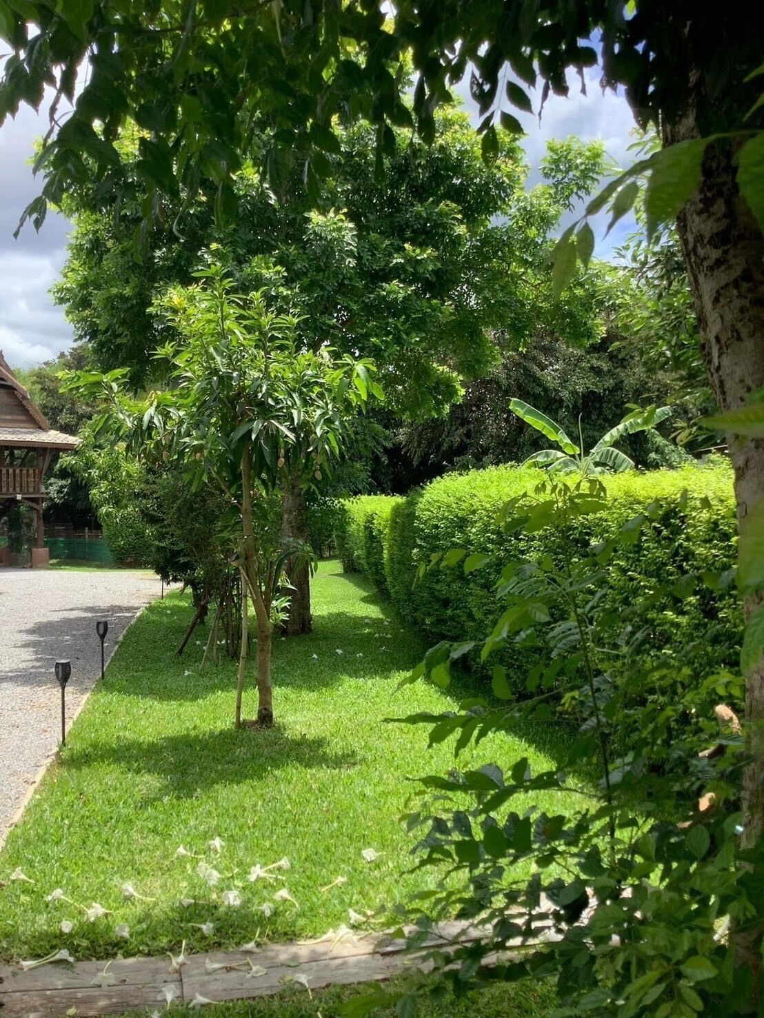 Standard Double Room, Balcony, Garden View | Property grounds