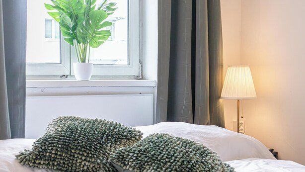 A bed with two textured pillows, a potted plant by a window, and a lamp on a bedside table. - Modern Cozy Studio With City Access (Vienna)