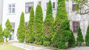 A building with a row of neatly trimmed evergreen trees in front. - Modern Cozy Studio With City Access (Vienna)