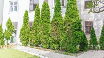 Basic-Studio | Außenbereich