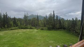 Une balustrade en bois surplombe une prairie verdoyante, avec des arbres et des montagnes visibles au loin.