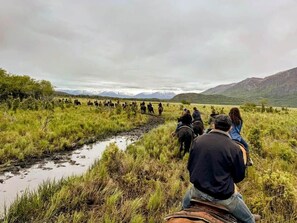 Miscellaneous - Alaska Knotty Pine B&B Log House~ Hot Tub, Sauna (Lazy Mountain)