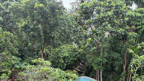Front of property - Raka Rai Bungalow (Ubud)
