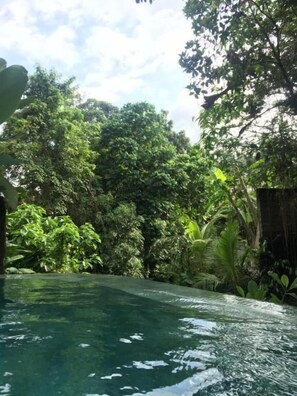 Pool - Raka Rai Bungalow (Ubud)