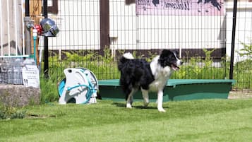 Pet-friendly