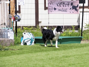 A fenced outdoor area with a dog, a green container, and a water dispenser. - Pension HONOBONO (Kitashiobara)