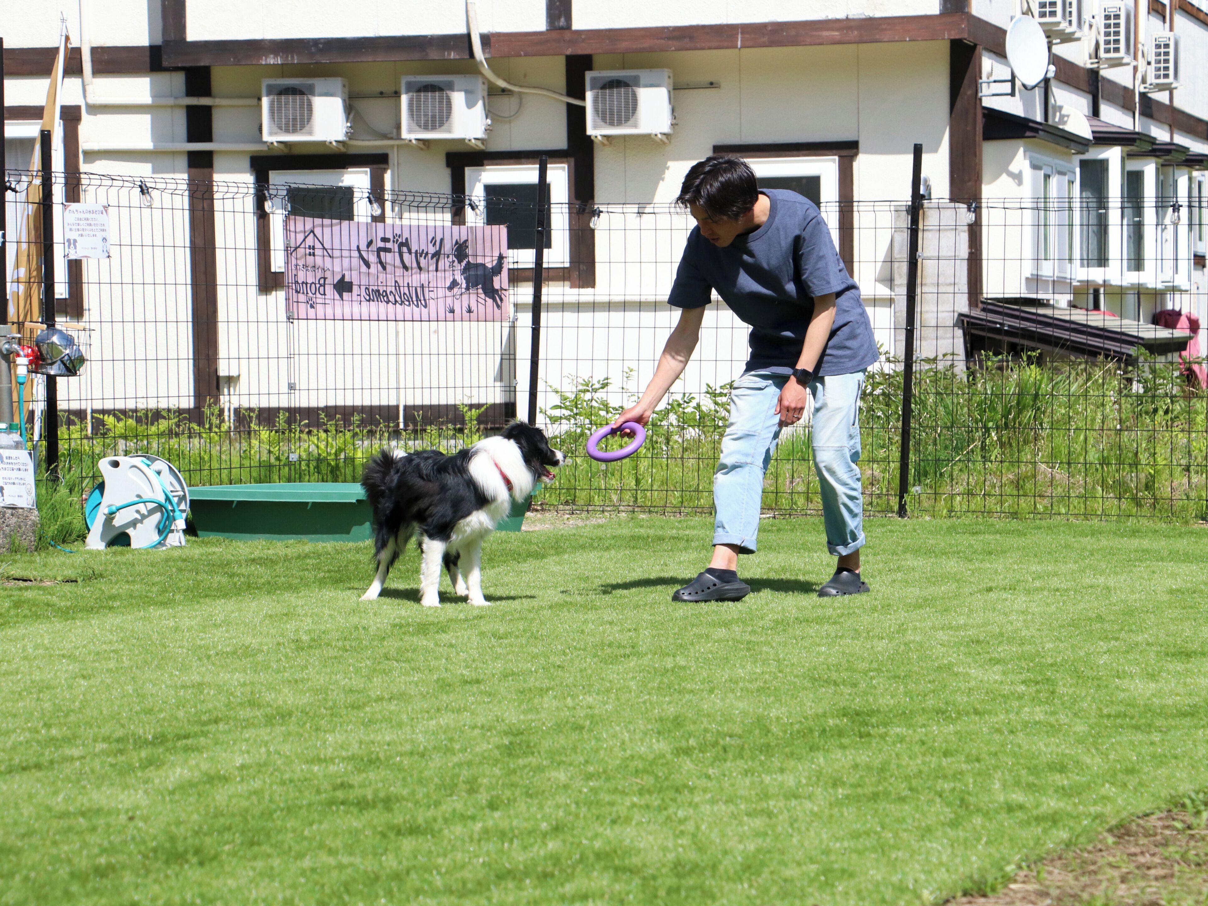 Uma pessoa brincando com um cachorro em uma área externa cercada.