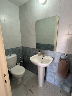 Hair dryer, towels, soap, toilet paper