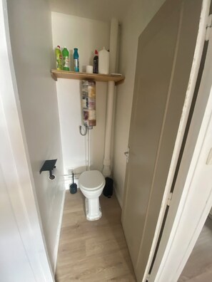 Shower, hair dryer, toilet paper - Apartment in Auch with breathtaking views of the Pyrenees (Auch)