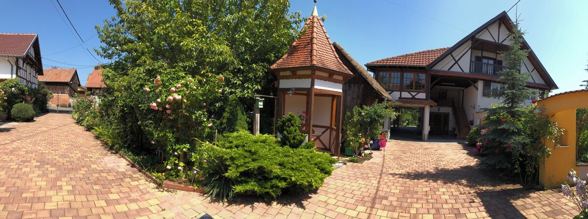 Image de profil de l’hôte