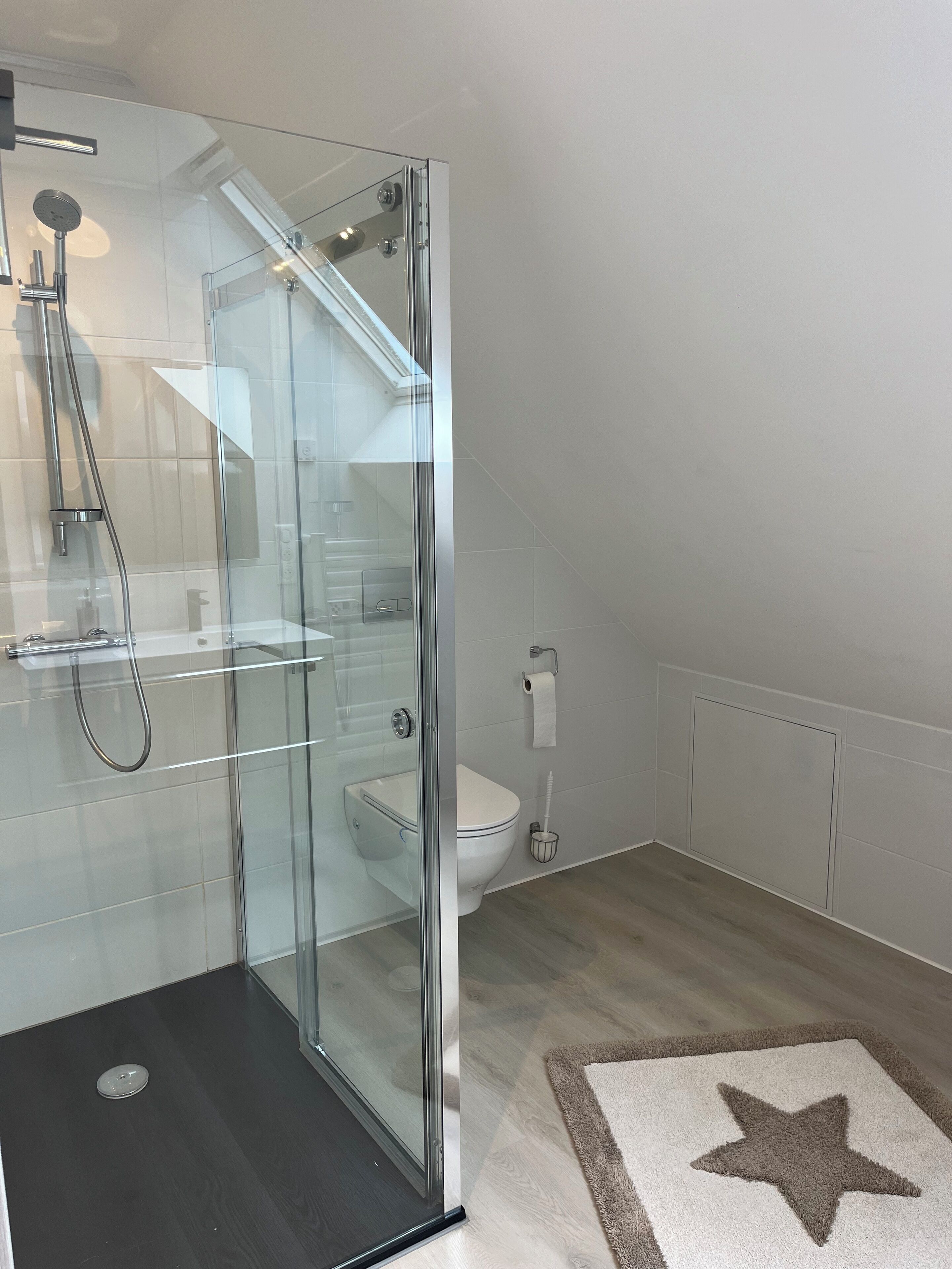 Shower, hair dryer, towels