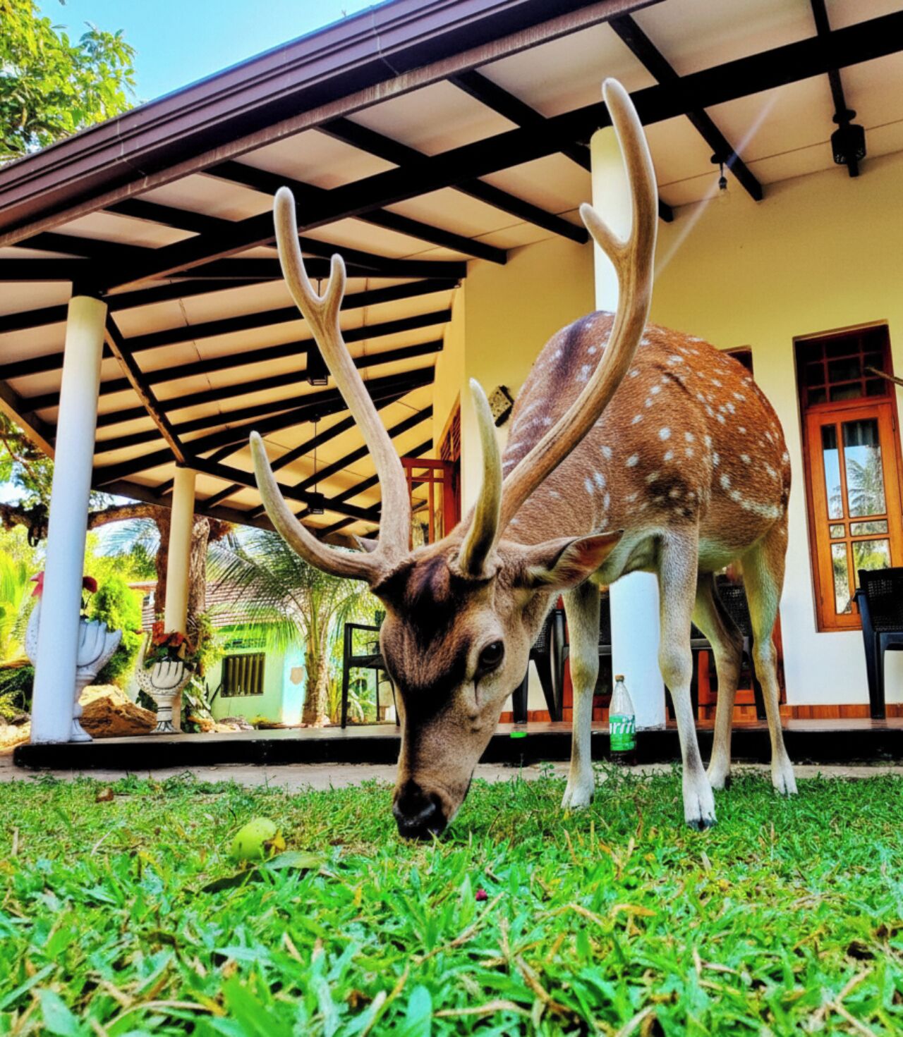 Voorkant van accommodatie